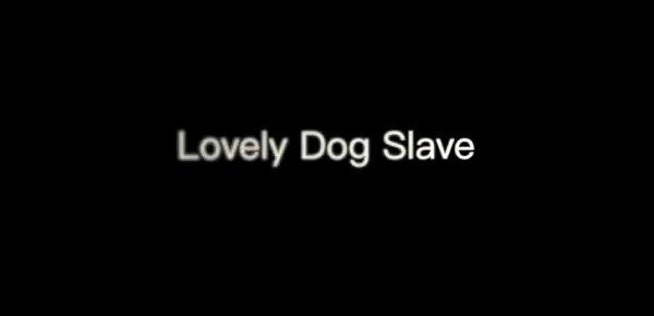  170308-Lovely Dog Slave